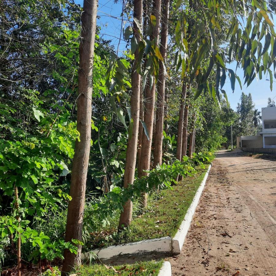 Viva! 1 Casa Nova Em Condominio Entre Maragogi E Carneiros São José da Coroa Grande Eksteriør billede